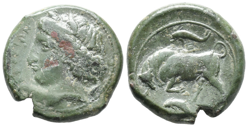 Sicily, Syracuse. Agathokles (317-289 BC). Æ Hemilitron (22mm, 10.34g), c. 317-3...