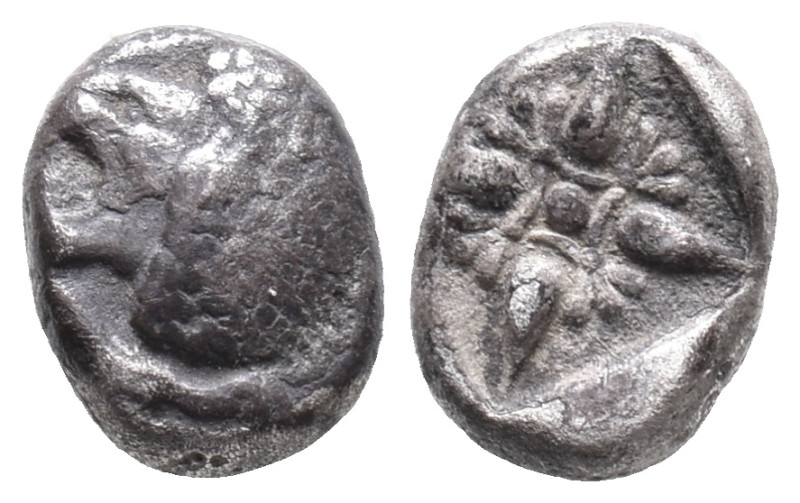 Ionia, Miletos, late 6th-early 5th century BC. AR Diobol (7mm, 1.14g). Forepart ...