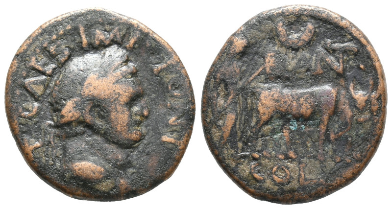 Titus (79-81). Pisidia, Antioch. Æ (20mm, 8.43g). Laureate head r. R/ Founder pl...