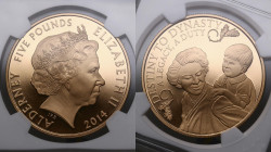 Alderney. Elizabeth II. 5 pounds 2014. Proof.