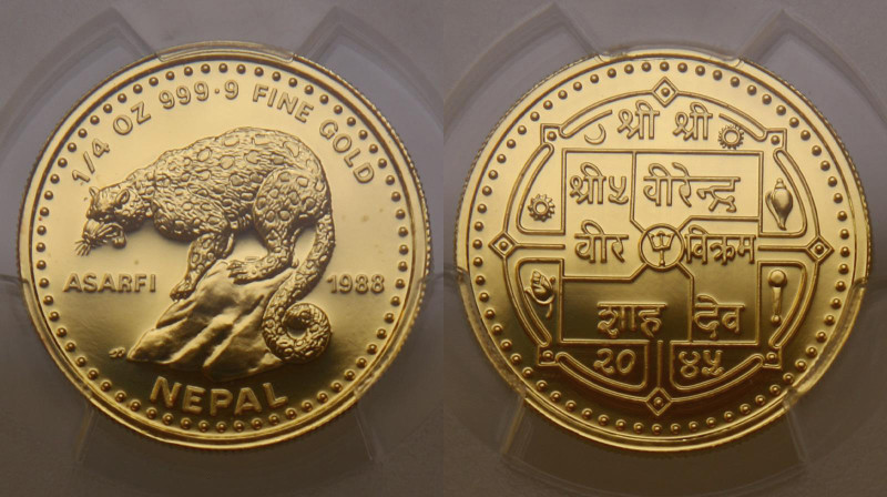 Nepal. Asarfi 1/4 oz. 1988. Proof. PCGS PR69DCAM. AGW 0,25 oz. 0,999. 7,77 g. КМ...