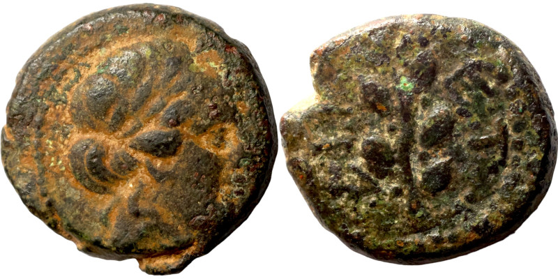 Greek coins 1-4 century bronze

16mm 4,35g