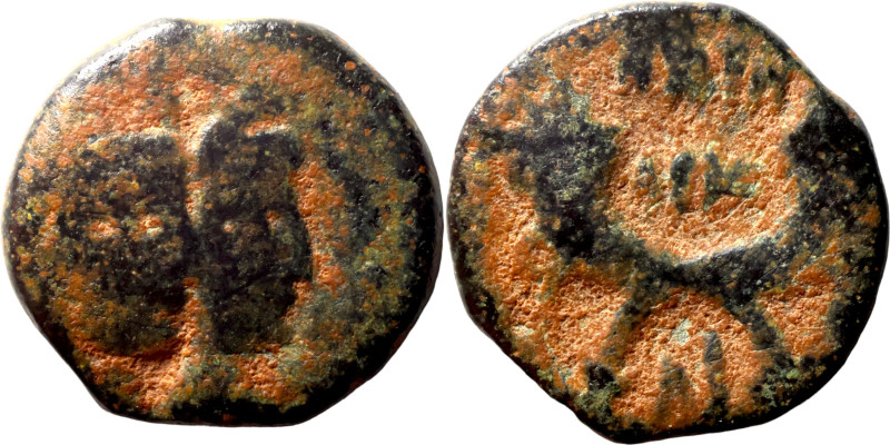 Nabatean coin bronze

15mm 2,88g