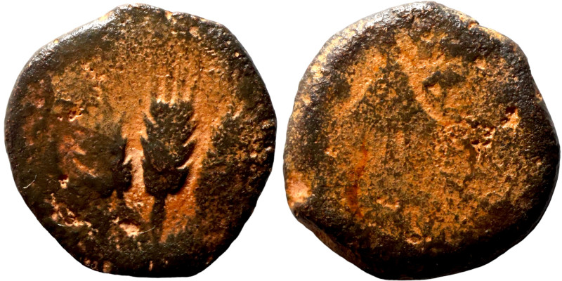 Judaean coin

17mm 2,75g