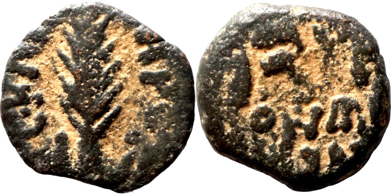 Judaean coin

14mm 1,38g