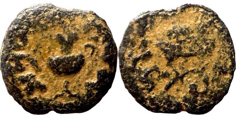 Judaean coin

14mm 1,42g