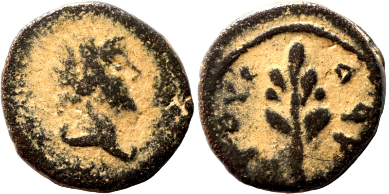 Roman Imperial coin

13mm 1,72g