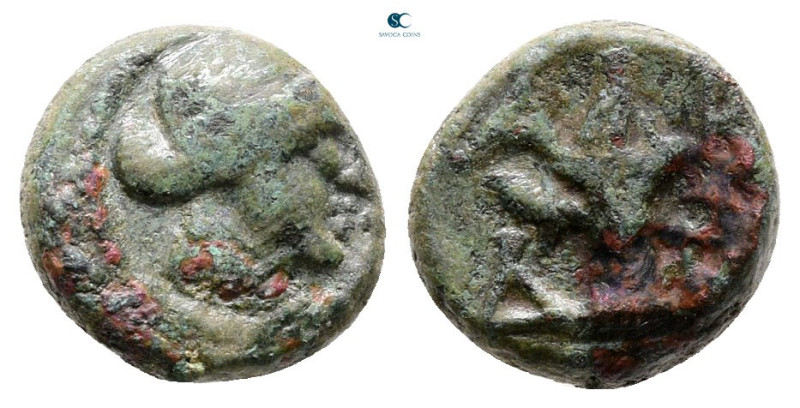 Troas. Abydos circa 300 BC. 
Bronze Æ

10 mm, 1,42 g



Very Fine