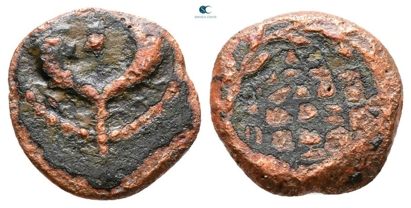 Judaea. Jerusalem. John Hyrcanus I 135-104 BC. 
Prutah Æ

14 mm, 1,28 g


...