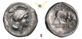 LUCANIA - Thurium (350-300 a.C.) Distatere. D/ Testa elmata di Atena R/ Toro cozzante e all'esergo untirso. HN Italy 1824 Ag g 4,10 q.SPL