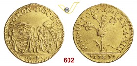 PIO VI (1775-1799) 2 Doppie romane 1787 A. XIII, Bologna. CNI 249 Munt. 168 Au g 10,76 Rara • Appiccagnolo rimosso BB