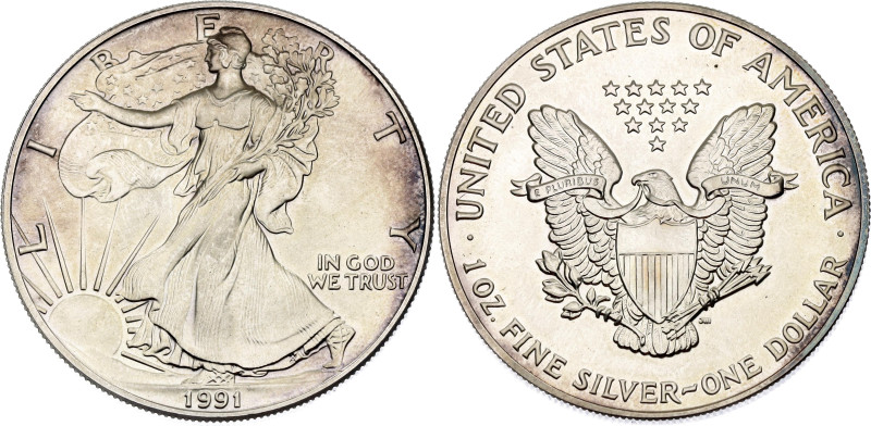 United States 1 Dollar 1991
KM# 273, N# 1493; Silver 31.21 g.; "American Silver...