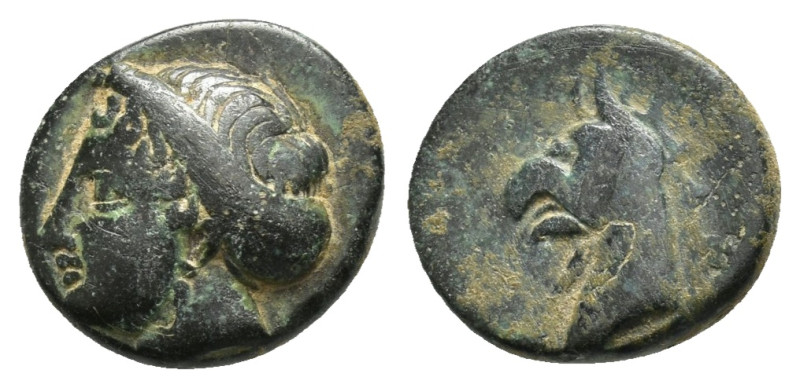 IONIA. Phokaia.(Circa 300 BC).Ae.

Obv : Female head left.

Rev : Head of griffi...