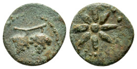 CILICIA. Soloi - Pompeiopolis.(circa 66-27 BC).Ae.

Obv :Two grape clusters on stalk, all within dotted circle.

Rev :Star within dotted circle.
SNG L...