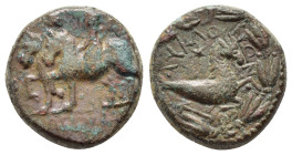 KINGS of COMMAGENE.Antiochos IV.(38-72). Ae.

Obv : BACIΛΕΩC YIOI.
Epiphanes and Callinicus on horseback, left.

Rev : ΚΟΜΜΑΓΗΝΩΝ.
Capricorn and star,...