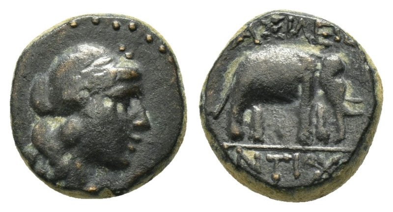 SELEUKID KINGS of SYRIA. Antiochos III 'the Great' (222-187 BC). Ae.

Obv : Diad...