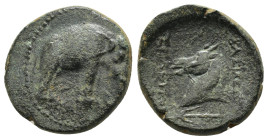 SELEUKID KINGS of SYRIA. Seleukos I Nikator.(312-281 BC). Ae. 

Obv : Elephant standing right. 

Rev : ΒΑΣΙΛΕΩΣ - ΣΕΛΕΥΚΟΥ.
Horned head of a horse to ...