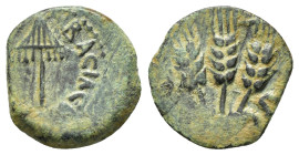 JUDAEA. Agrippa I.(52-59).Jerusalem.Ae.

Obv : BACIΛEWC AΓPIΠA .
Umbrella-like canopy with fringes.

Rev : Three ears of barley growing between two le...