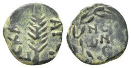 JUDAEA. Procurators. Porcius Festus.(59-62).Jerusalem.Ae.

Obv : NЄP ωNO C.
Legend in three lines within wreath.

Rev : CΛKI ΛO.
Palm frond.
RPC I onl...