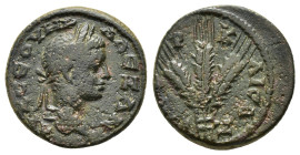 CAPPADOCIA. Caesarea. Severus Alexander (222-235). Ae.

Obv : ΑΥ Κ ϹΕΟΥ(Η) ΑΛΕΞΑΝ(Δ)(Ρ).
Laureate head right.

Rev : ΜΗΤΡ(Ο) ΚΑΙϹ(Α) ΕΤ Ζ.
Three grain...