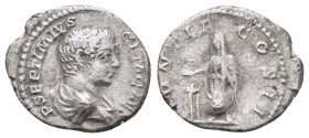 GETA (Caesar, 198-209).Rome.Denarius.

Condition : Good very fine.

Weight : 3.13 gr
Diameter : 19 mm
