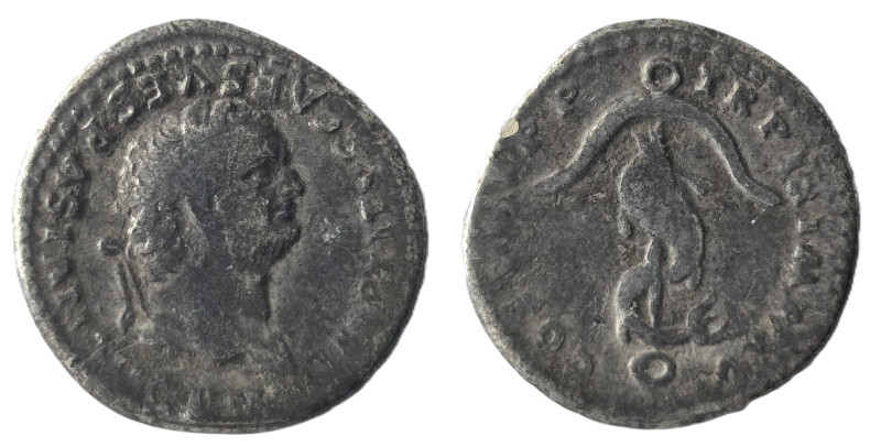 Roman Imperıal Coıns…...
Titus AR Denarius. Rome, AD 80. IMP TITVS CAES VESPASI...