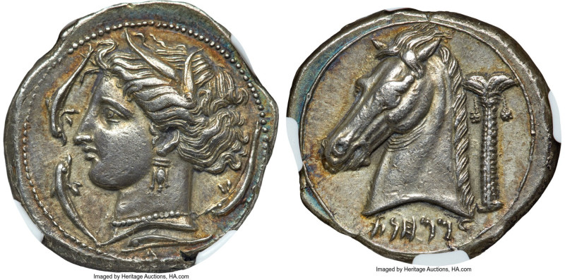 SICILY. Siculo-Punic. Ca. 320-300 BC. AR tetradrachm (27mm, 16.85 gm, 2h). NGC A...