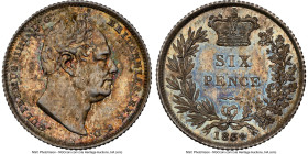 William IV Proof 6 Pence 1834 PR65 NGC, KM712, S-3836, Bull-2506 (R3). Flat-top 3 in date. Only the fourth such example of this alluring and diminutiv...