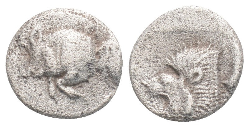 Obol  AR
Mysia, Kyzikos, Forepart of boar left, tunny behind, Head of lion left...