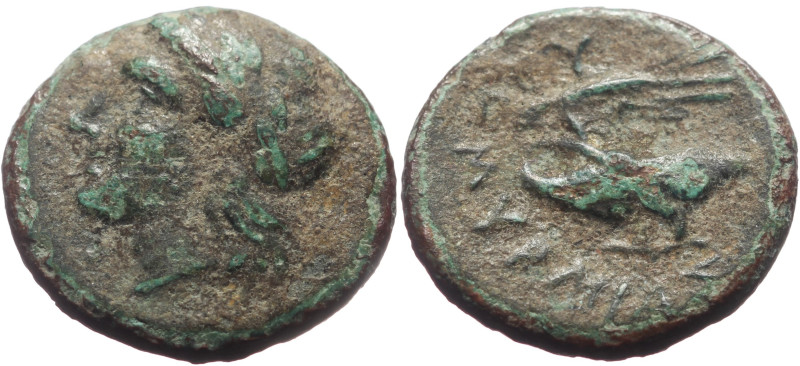 Bronze Æ
Greek coin
16 mm, 3,11 g