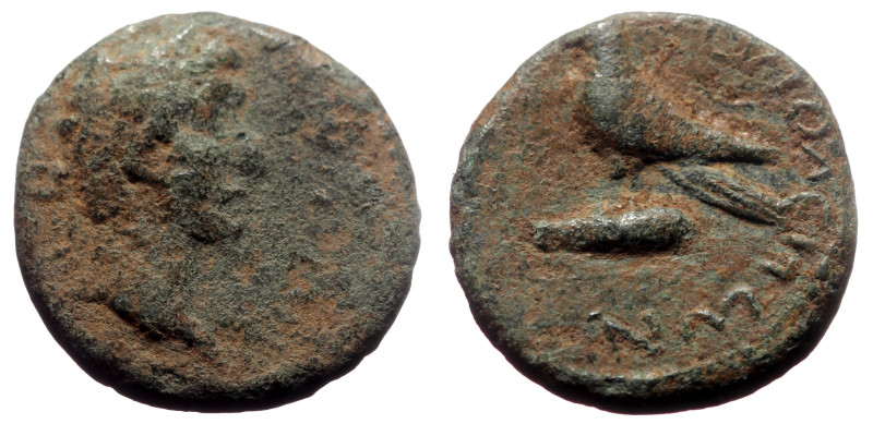 Bronze Æ
Roman provincial
17 mm, 3,47 g