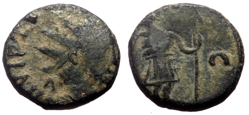 Minimus Æ
Roman provincial
12 mm, 1,27 g