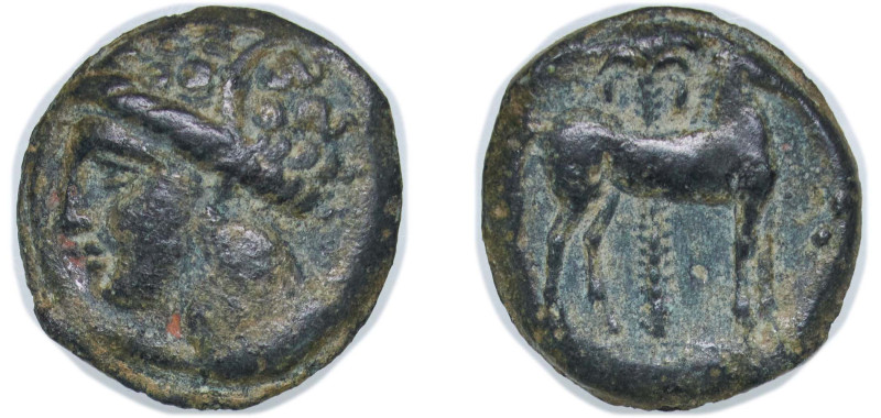 Greece (ancient) Carthage 400 BC - 350 BC AE (Carthage) Bronze 2.89g VF GCV 6444...