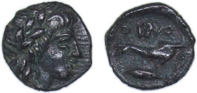 Greece (ancient) Olbia Skythia 350 BC - 300 BC AE Bronze 0.59g VF HGC 3.2 1924 SNG BM Black Sea 417 SNG Moskau 825 SNG Stancomb 355-8