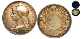 France Third Republic 1896 Medal - Comice agricole de L'Arrt de Louviers Silver 36.53g AU