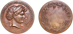 France Third Republic ND Medal - Société d’encouragement à l’agriculture Bronze 62.85g AU