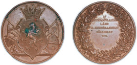 Sweden Kingdom 19th Century Medal - Östergötlands Läns K. Hushållnings sällskap Bronze 64.2g UNC