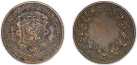Sweden Kingdom 19th Century Medal - SÖDERMANLANDS LÄNSKONGL. HUSHÅLLNINGSSÄLLSKAP Bronze 37.61g XF
