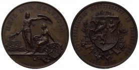 Thurgau. Eidgenössisches Schützenfest in Frauenfeld 1890, Bronze. Richter 1250a, c. Vorzüglich und fast FDC