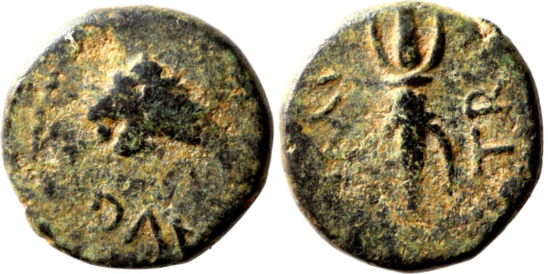 Greek coin 1-4 century bronze

13mm 2,44g