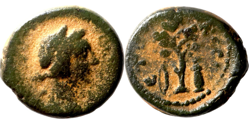 Greek coin 1-4 century bronze

13mm 2,58g

Artificial sand patina