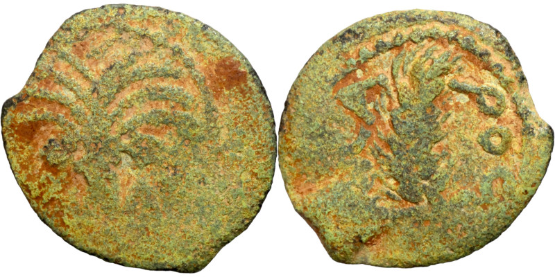 Judaean coin

16mm 1,74g