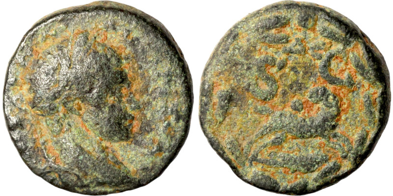 Roman coin

17mm 4,90g