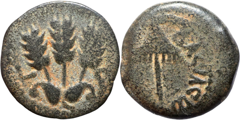 Judaean coin

16mm 2,53g