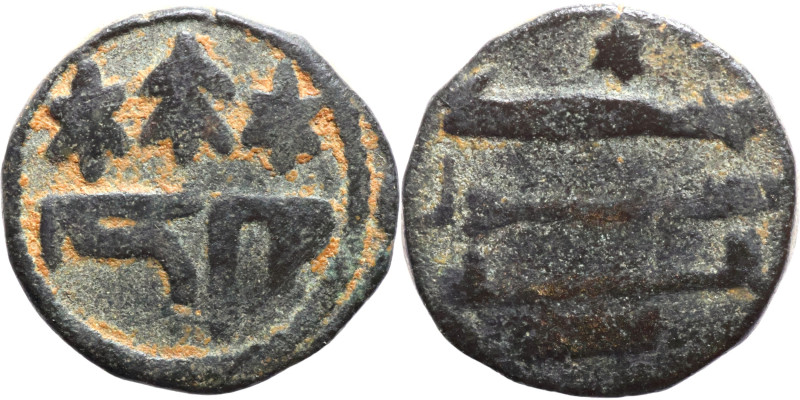 Osman coin

13mm 2,55g