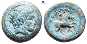 Kings of Macedon. Uncertain mint. Philip II of Macedon 359-336 BC. Bronze Æ
