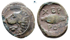 The Thracian Chersonese. Chersonesos circa 309-220 BC. Bronze Æ