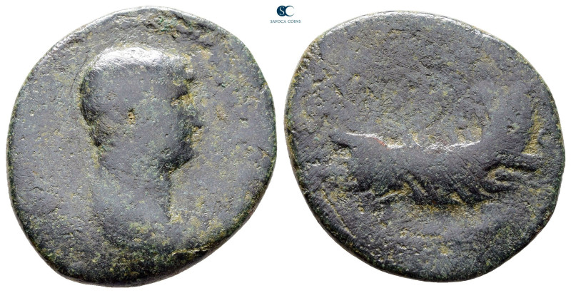 Hadrian AD 117-138. Rome
As Æ

28 mm, 8,91 g



Fine