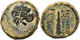SELEUKID KINGS of SYRIA. Antiochos VII Euergetes (Sidetes), 138-129 BC. Ae (bronze, 7.10 g, 17 mm), Antioch. Head of lion right. Rev. ΒΑΣΙΛΕΩΣ ANTIOXO...