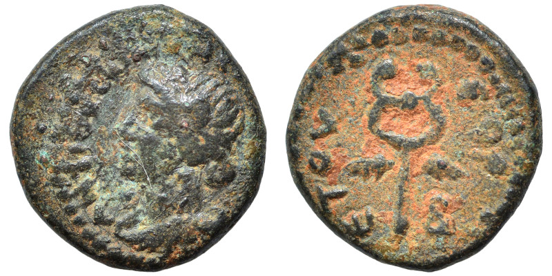 SYRIA, Seleucis and Pieria. Antioch. Pseudo-autonomous issue. Dichalkon (bronze,...